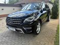 MERCEDES-BENZ ML 250 2014/6 - 2