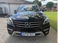 MERCEDES-BENZ ML 250 2014/6 - 3
