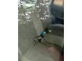 SUZUKI SWIFT 2002/3 - 4