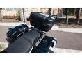TRIUMPH TIGER 900 2024 - 2