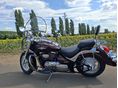 SUZUKI VL 800 (INTRUDER) 2008 - 2