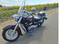 SUZUKI VL 800 (INTRUDER) 2008 - 3