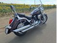 SUZUKI VL 800 (INTRUDER) 2008 - 5
