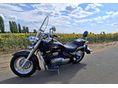 SUZUKI VL 800 (INTRUDER) 2008 - 7