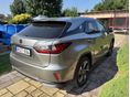 LEXUS RX 2019/1 - 2