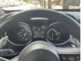 ALFA ROMEO STELVIO 2022/3 - 5