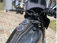 HARLEY-DAVIDSON SOFTAIL 2020/5 - 5