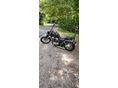 SUZUKI VS 1400 (INTRUDER) 2000/10 - 2