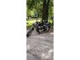 SUZUKI VS 1400 (INTRUDER) 2000/10 - 3