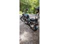 SUZUKI VS 1400 (INTRUDER) 2000/10 - 4