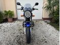 SUZUKI GS 500 E 2003/5 - 2
