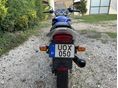 SUZUKI GS 500 E 2003/5 - 5