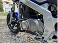SUZUKI GS 500 E 2003/5 - 8
