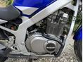 SUZUKI GS 500 E 2003/5 - 11
