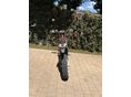 KTM FREERIDE 2014/6 - 4