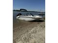 BAYLINER 2024/4 - 6