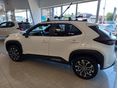 TOYOTA YARIS CROSS 2026 - 2