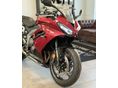 TRIUMPH DAYTONA 2026/7 - 3