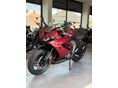 TRIUMPH DAYTONA 2026/7 - 2