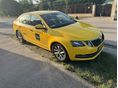 SKODA OCTAVIA 2019 - 10