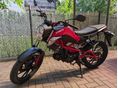 KYMCO EGYÉB K-PIPE 50
