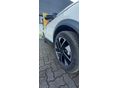 Fandl Gábor várja hívását + 36 70 93 00 923