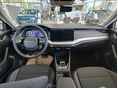SKODA OCTAVIA 2026/7 - 5
