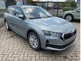 SKODA OCTAVIA 2026/7 - 2