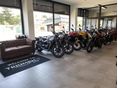 TRIUMPH TIGER 1200 2026/7 - 8