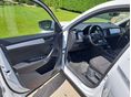 SKODA KODIAQ 2023 - 7