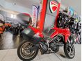 DUCATI MULTISTRADA 950 2019 - 3