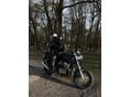 SUZUKI GSF 600 (BANDIT) 1998/12 - 5