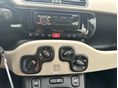 FIAT PANDA 2012/5 - 9