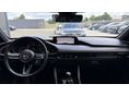 MAZDA 3 2021/3 - 13