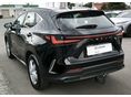 LEXUS NX 2022/6 - 3