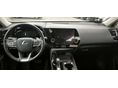 LEXUS NX 2022/6 - 8
