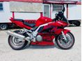SUZUKI SV 1000 S 2005/6 - 7
