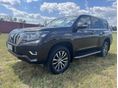TOYOTA LAND CRUISER 2019/8 - 3