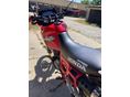 HONDA NX 650 DOMINATOR 1991/5 - 6