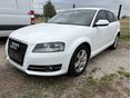 AUDI A3 1.6 TDI Ambiente DPF