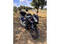 SUZUKI DL 1000 