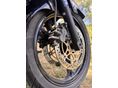 SUZUKI DL 1000 2003/8 - 7