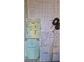 DACIA DUSTER 2010/12 - 12