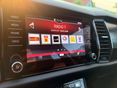 SKODA KODIAQ 2017/11 - 16