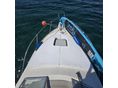 BAYLINER 1995 - 3