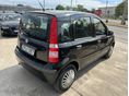 FIAT PANDA 2009/3 - 5