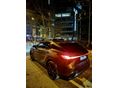 LEXUS RX 2024/7 - 2