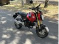HONDA MSX 125 2023/8 - 2