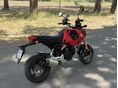 HONDA MSX 125 2023/8 - 3