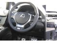 LEXUS RX 2013/10 - 6